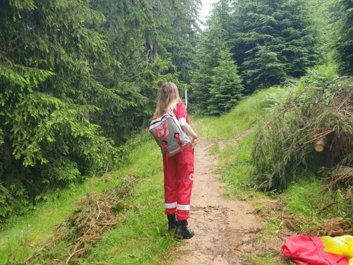 110337362 2777102015892865 7736810516855514898 n